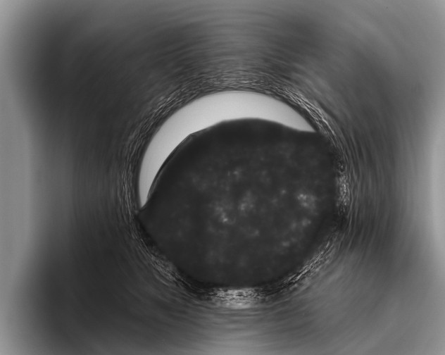 X0000095930517200802081219