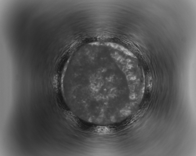 X0000095930519200802081219