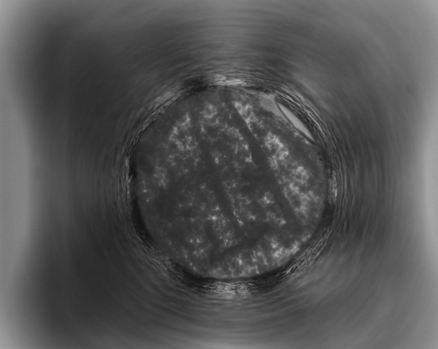 X0000095930520200802081219