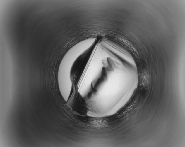 X0000095930521200802081219