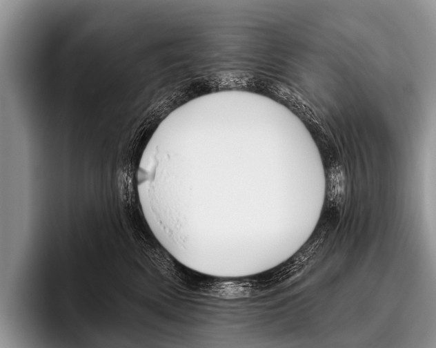 X0000095930522200802081219