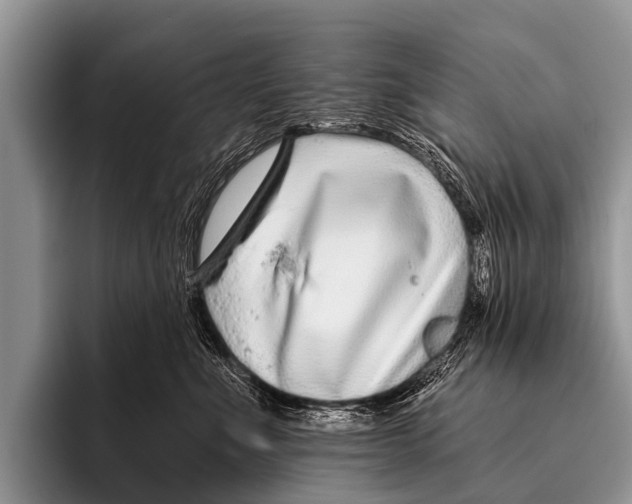 X0000095930523200802081219