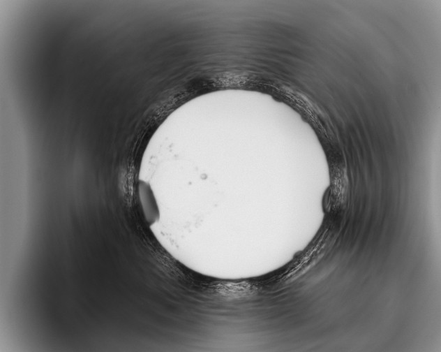 X0000095930525200802081219