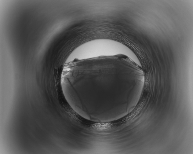 X0000095930526200802081219