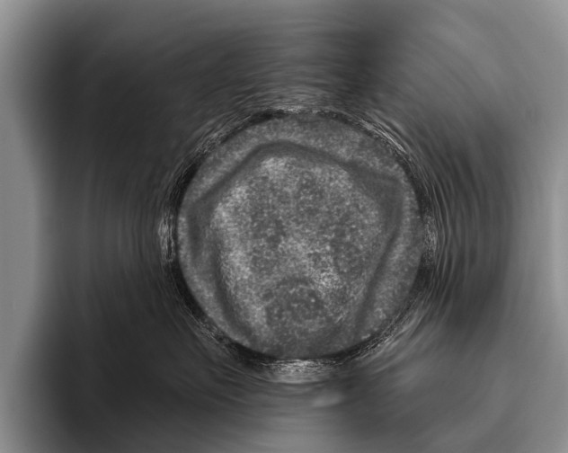 X0000095930527200802081219