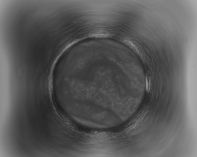 X0000095930531200802081218