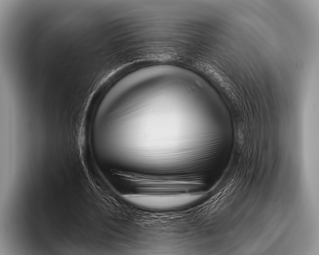 X0000095930532200802081218