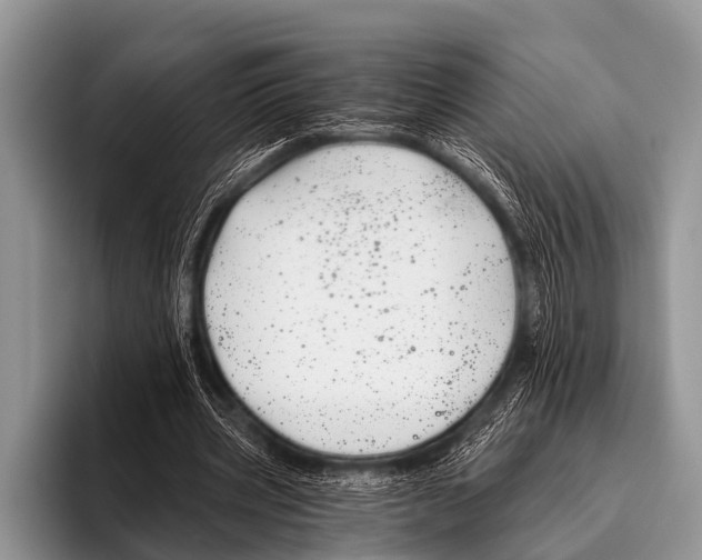 X0000095930533200802081218
