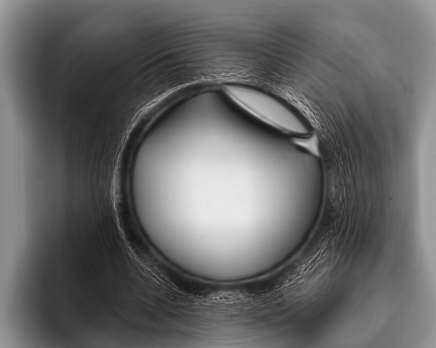 X0000095930536200802081219