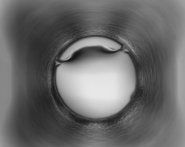 X0000095930538200802081219