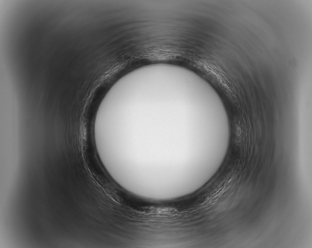 X0000095930539200802081219