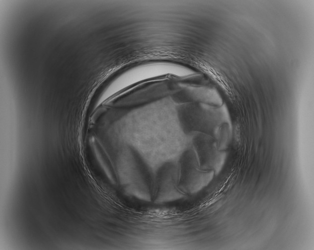 X0000095930540200802081219