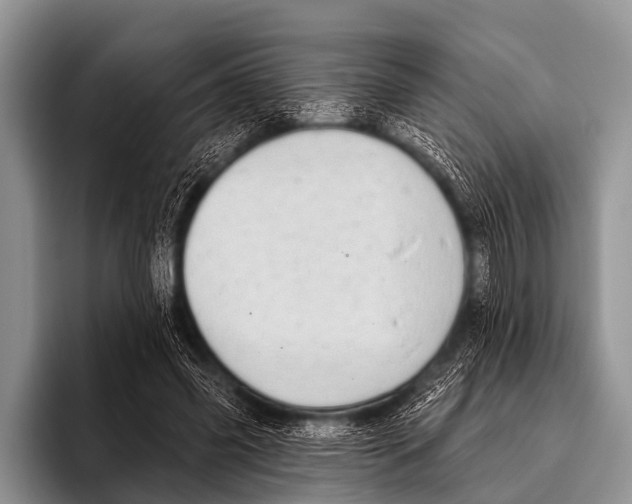 X0000095930541200802081219