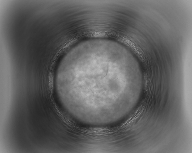 X0000095930542200802081219