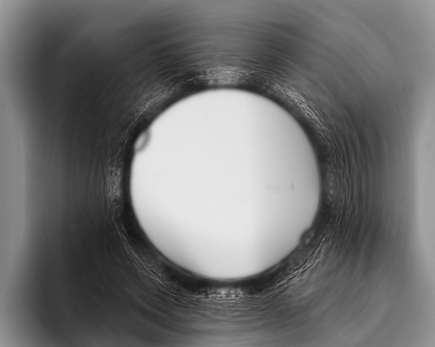 X0000095930543200802081219