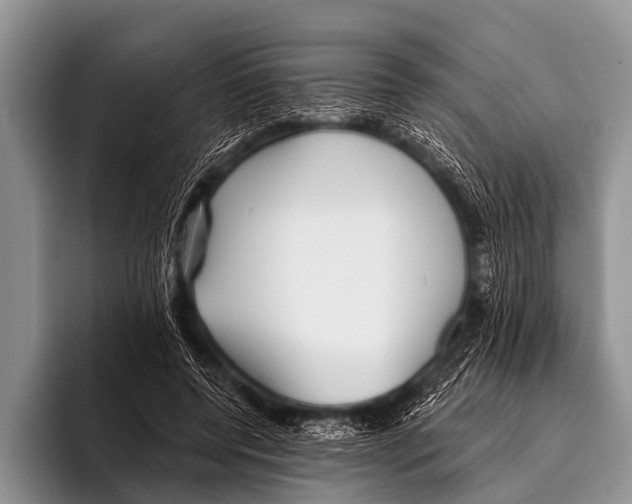 X0000095930544200802081219