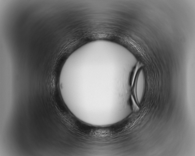X0000095930546200802081219