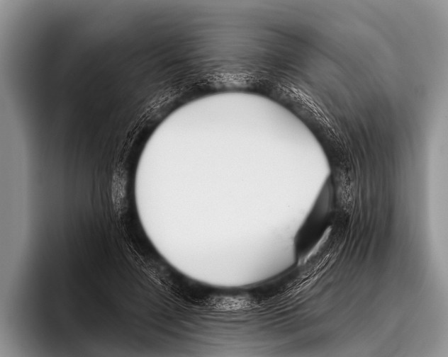 X0000095930548200802081219