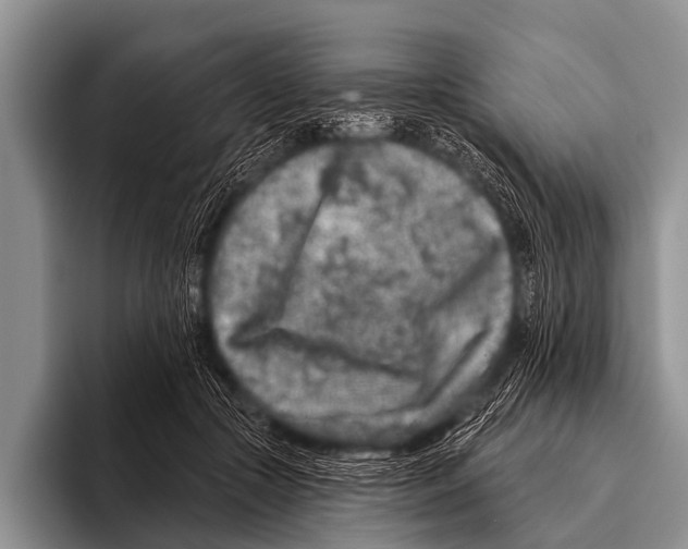X0000095930553200802081219