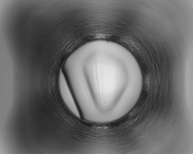 X0000095930554200802081219