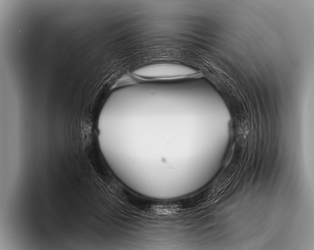 X0000095930556200802081219