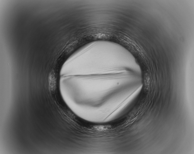 X0000095930558200802081219