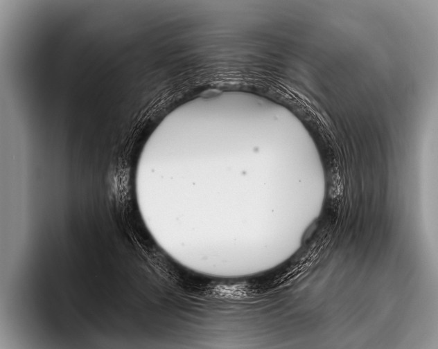 X0000095930560200802081219
