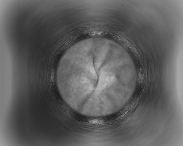 X0000095930561200802081219
