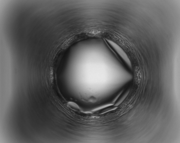 X0000095930562200802081219