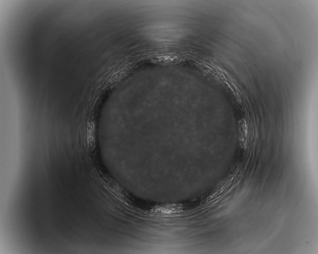 X0000095930563200802081219