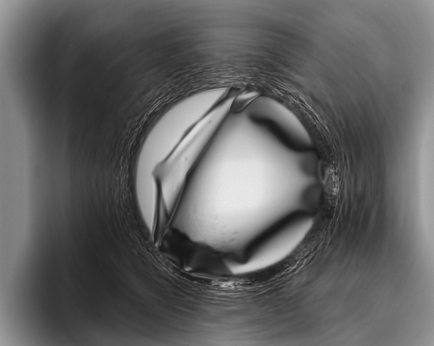 X0000095930564200802081219