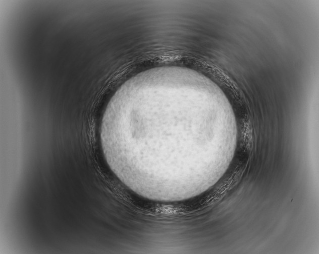 X0000095930565200802081219