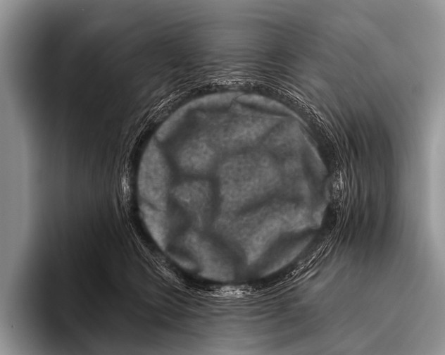 X0000095930566200802081219