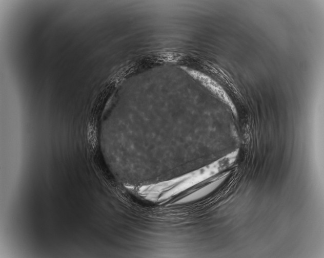 X0000095930568200802081219