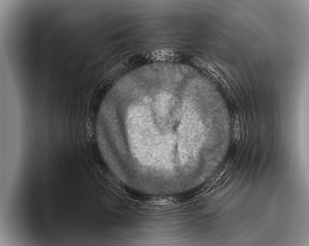 X0000095930569200802081219