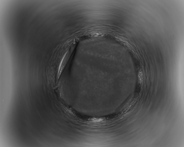 X0000095930570200802081219