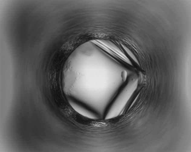 X0000095930572200802081219