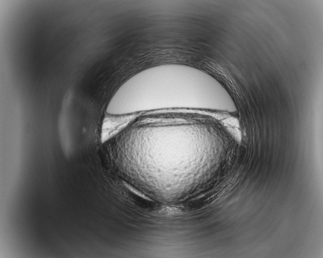 X0000095930573200802081219
