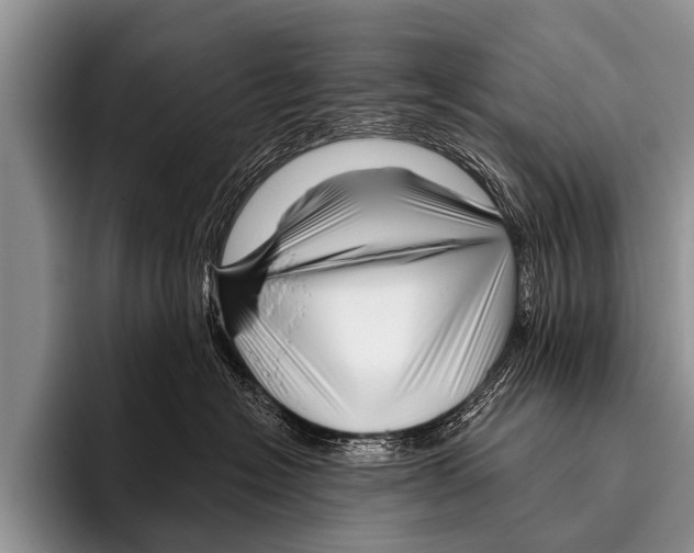X0000095930574200802081219