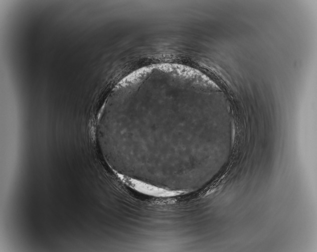 X0000095930576200802081219