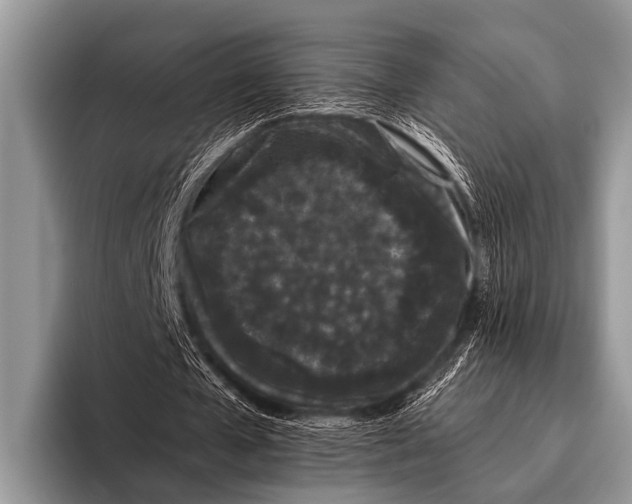 X0000095930577200802081218