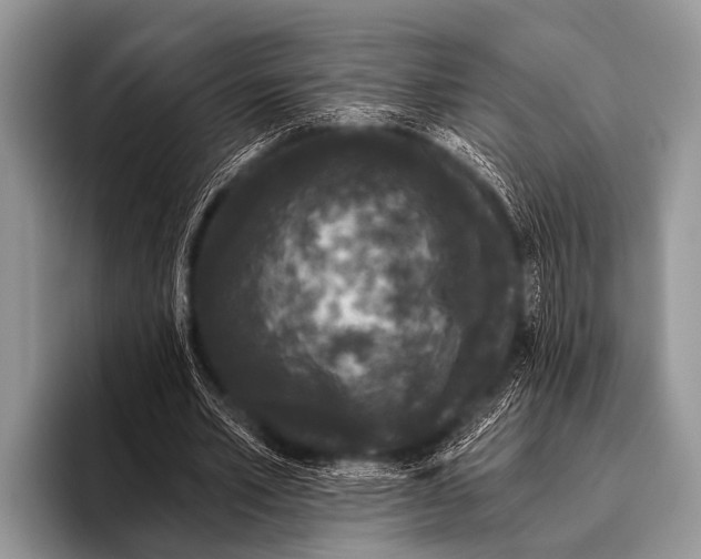 X0000095930581200802081218