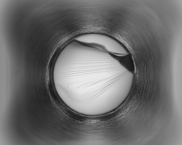 X0000095930582200802081218