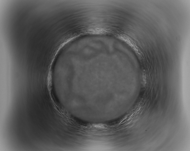 X0000095930583200802081218
