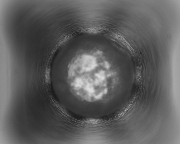 X0000095930585200802081218