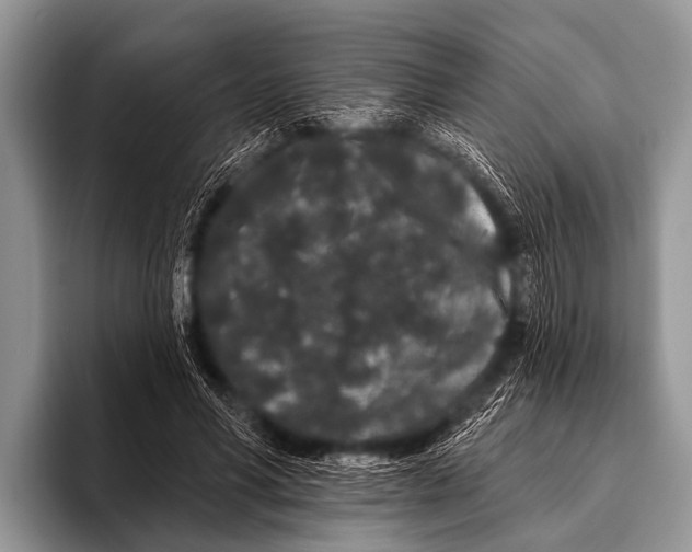 X0000095930590200802081218