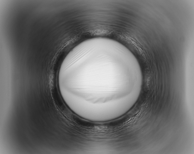 X0000095930591200802081218