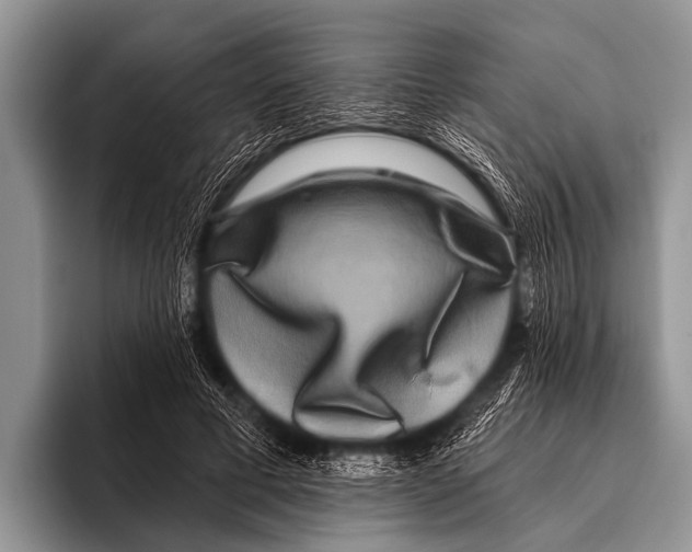 X0000095930593200802081218