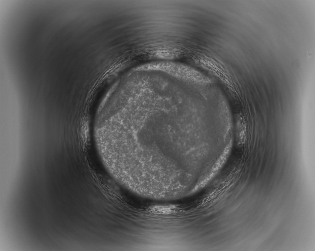 X0000095930595200802081218
