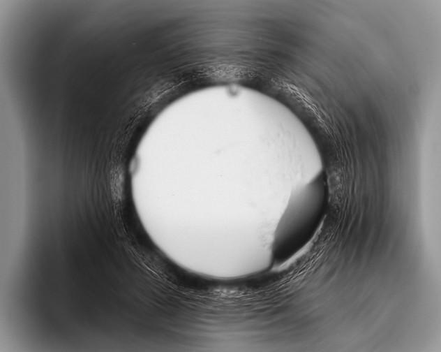 X0000095930596200802081218